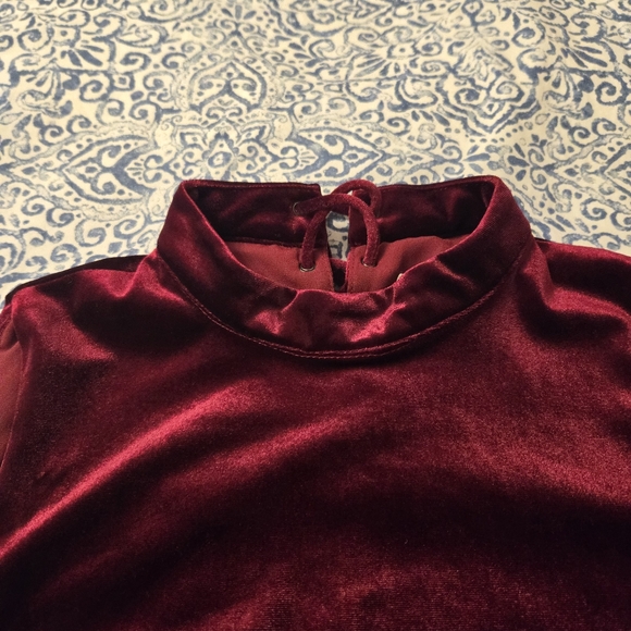 Fancy Red Velvet Top - Picture 3 of 5